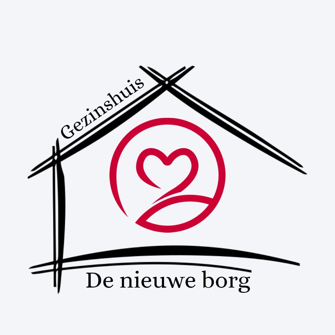 de-nieuwe-borg-logo